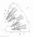 Fig. 01 - Motor