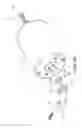 Fig. 11 - Motor having a braking function and used in linear actuator