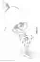 Fig. 14 - Motor having a braking function and used in linear actuator