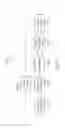 Fig. 09 - Maximum likelihood sequence estimation of quadrature amplitude modulated signals