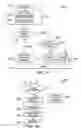 Fig. 03 - Differential-coding and decoding for quadrature duobinary coherent optical communication systems