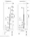 Fig. 12 - Re-modulation crosstalk and intensity noise cancellation in wavelength-division multiplexing (WDM) passive optical networks (PONs)