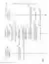 Fig. 03 - DERIVING CRYPTOGRAPHIC KEYS FROM BIOMETRIC PARAMETERS