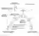 Fig. 01 - Communications system, management server, and communications method