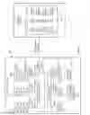Fig. 05 - Preventing execution of task scheduled malware