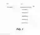 Fig. 08 - Risk identification