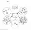Fig. 01 - Manipulation of content transmissions