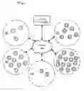 Fig. 01 - Manipulation and recording of content transmissions