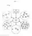 Fig. 02 - Manipulation and recording of content transmissions