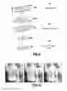 Fig. 07 - Method of preparing the rendering with a color output device of at least one object