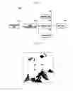Fig. 02 - Portable device enabling a user to manually adjust locations of focusing and photometry and method for taking images
