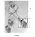 Fig. 08 - Method and apparatus for providing engaging experience in an asset