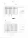 Fig. 20 - Stereoscopic images display apparatus comprising flexible barrier pattern