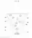 Fig. 07 - Method and apparatus for stereoscopically rendering three-dimensional content by including a left image and a right image