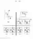 Fig. 17 - Method and apparatus for stereoscopically rendering three-dimensional content by including a left image and a right image