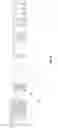Fig. 30 - Customized generation of highlight show with narrative component