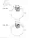 Fig. 17 - Earphone device