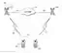 Fig. 01 - Methods and systems for adding a mobile radio to a talkgroup