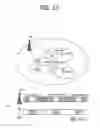 Fig. 14 - Method and terminal for receiving EPDCCH from small cell having low transmission power