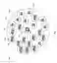 Fig. 03 - SYSTEM AND METHOD FOR MOBILITY ENHANCED WI-FI ARCHITECTURE
