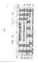 Fig. 02 - Multilayer wiring board having wiring structure for mounting multiple electronic components and method for manufacturing the same