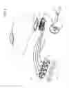 Fig. 02 - Air entrainment device for seed delivery