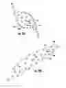 Fig. 11 - Bouquet Holder Apparatus and Method of Use