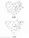 Fig. 12 - Bouquet Holder Apparatus and Method of Use