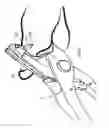 Fig. 05 - TAG APPLICATOR