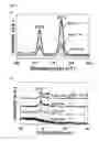 Fig. 06 - Antibacterial cryogel and porous hydrogel, their preparation method, and their use for disinfecting water
