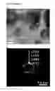 Fig. 07 - Antibacterial cryogel and porous hydrogel, their preparation method, and their use for disinfecting water