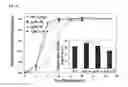 Fig. 08 - Antibacterial cryogel and porous hydrogel, their preparation method, and their use for disinfecting water