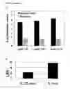 Fig. 12 - Antibacterial cryogel and porous hydrogel, their preparation method, and their use for disinfecting water