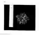 Fig. 11 - ANTIBACTERIAL GLASS