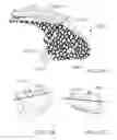 Fig. 16 - Automated scanning and butchering system and method of use