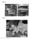 Fig. 04 - Pasteurization System for Root Vegetables