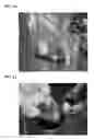 Fig. 07 - Pasteurization System for Root Vegetables