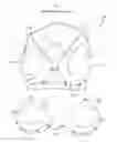Fig. 02 - Adaptable nursing bra