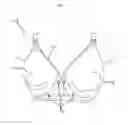 Fig. 03 - Adaptable nursing bra