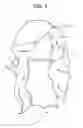 Fig. 04 - SWIMMING CAP WIG