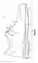 Fig. 02 - Article of footwear incorporating a sole structure with elements having different compressibilities