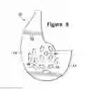 Fig. 09 - Article of footwear incorporating a sole structure with elements having different compressibilities