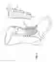 Fig. 02 - Shoe Tongue Covering Device