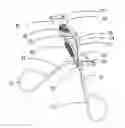 Fig. 01 - Comb Pad Eyelash Curler Inserts Refill Pads