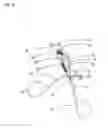 Fig. 03 - Comb Pad Eyelash Curler Inserts Refill Pads