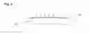 Fig. 05 - Comb Pad Eyelash Curler Inserts Refill Pads