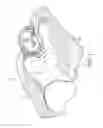 Fig. 02 - POSITIONAL PILLOW