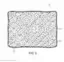Fig. 07 - POSITIONAL PILLOW