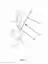Fig. 08 - Fashion accessory and method of operating a zipper