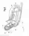 Fig. 05 - Beverage producing machine with a jug